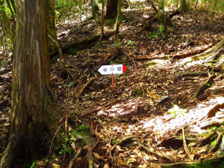 この道標で急登は終わって右へ進んで尾根に取り付く