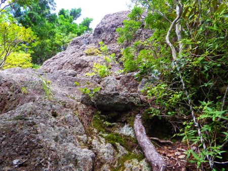 最後のロープ場があってこの岩場を登ると山頂であることを祈る