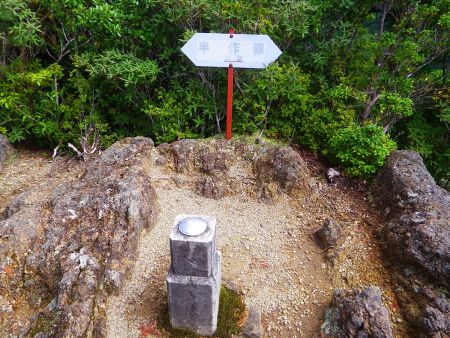 半作嶺の山頂(893.5m)に到着。三角点と山頂プレートがポツンとあるだけだった