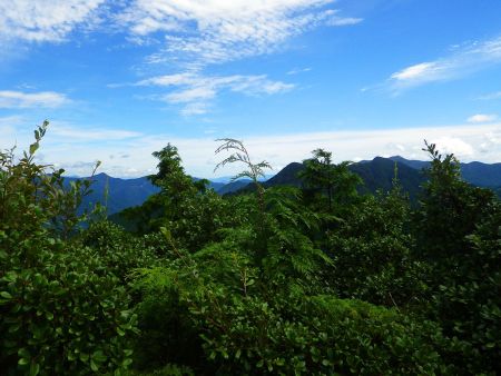 東側の展望も樹林に覆われていてほとんど見えない。昔は見えたんだろうか！？