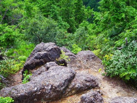 時間的にも余裕をもたせたいので、さっさと下山することにした