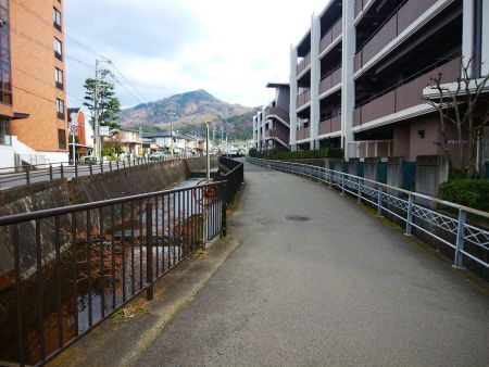 音羽川沿いを歩いていく。川の向こう側の道は現在工事で通行止めなので右側の道を歩くしかない