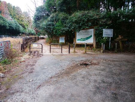 ここは分岐だけどあくまで曲がらず川沿いをひたすら進んでいく