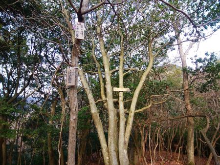修学院山(340m)に立ち寄った。もう1時間ほど歩いてるので少し休憩しておいた