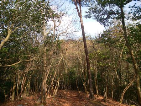 奥に見えてるのが比叡山かな！？まだまだ遠い感じがする