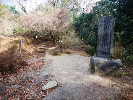 ここで京都一周トレイルの分岐。曲がらず直進していく