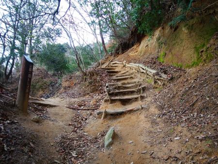 こういう階段があるのも有難く登りやすい