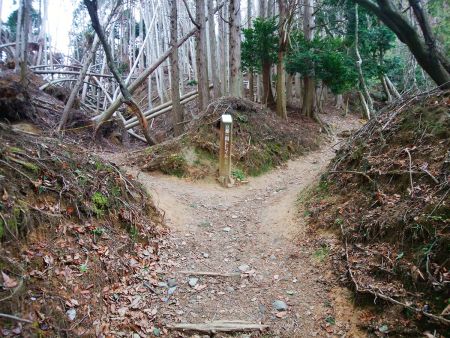 ここで分岐。右に行くんだけど左に展望の良さそうな場所があったので立ち寄ってみた