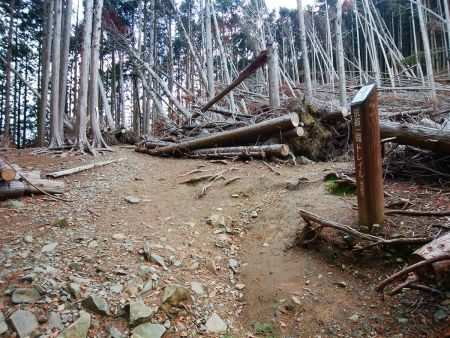 ここで分岐。どっちに行っても行けるんだけどビュースポットは右なので右へ曲がる