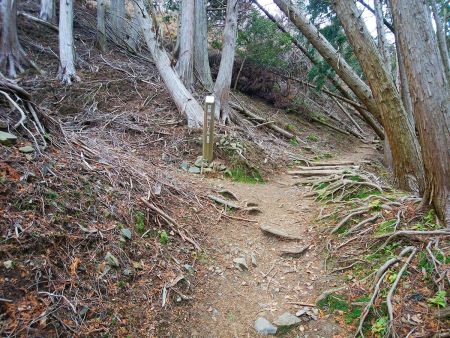 ここも分岐。ビュースポットへの分岐はこの先なので直進する