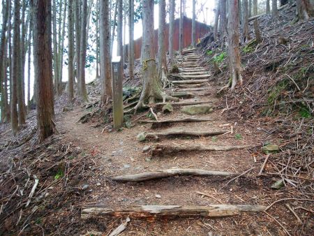 この階段の途中にある分岐を左へ行く。直進してもいけるんだけどビュースポットに行きたいので左へ行く