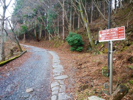 ケーブル比叡駅からは舗装道を歩いていくことになる。ほとんど坂を登っていく感じ