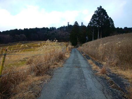 意外と舗装道が長い。しかし、ここ昔はスキー場だったんだろうか。ゲレンデだったとすると狭いね