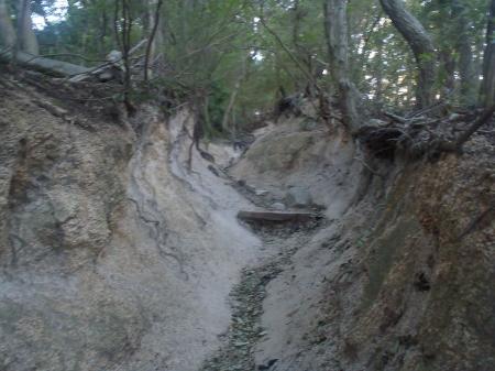 階段が終わるとなだらかになってくる