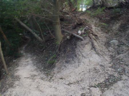 左はルート。右へ登ると鳥居（墓石）
