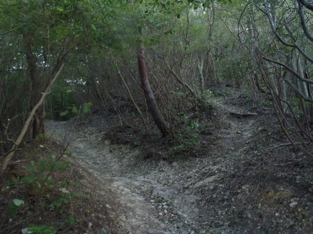 左はルート。岩倉山のピークハントは右を登る