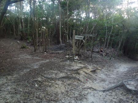 岩倉山の直下、下ったとこの分岐。ルートは右。反射板は左へ。