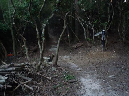 続いて譲葉山を目指す。