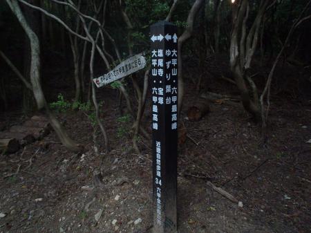 この分岐を左へ下ると行者山。譲葉山はまっすぐ