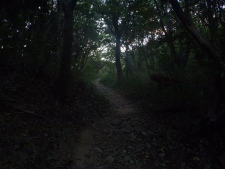 この付近の左側を注意深くみておく