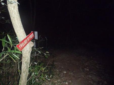 さっきの分岐を行者山のほうへ下るとこのような場所に出る