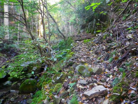ガレ場の登山道が多くて歩きにくいんだけどどんどん沢筋を進んでいく