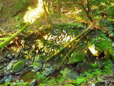 人工的な石垣があるけど何かの跡地かな！？どこかに看板があったんだけど忘れた