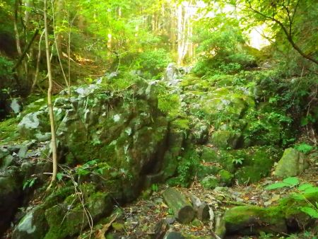 岩場の登り。苔で滑りやすいのかと思いながら慎重に登った