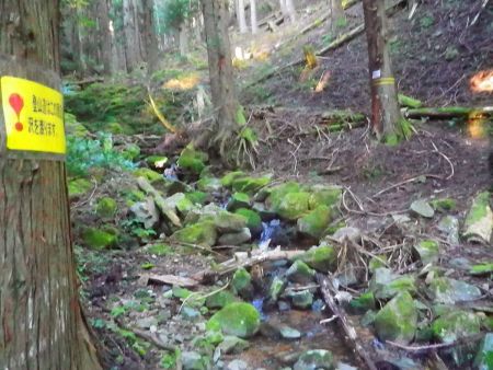 再び沢を渡るんだけど、こういうのが何度か続いてドボンしないように慎重に渡った