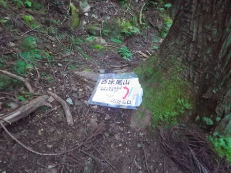 この看板というか、ここから沢筋から尾根道になる。よくこの看板が台風とかで飛ばされないのか不思議だ