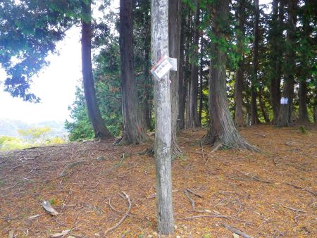 西床尾山の山頂(843m)に到着。ここまでほとんどノンストップで登ってきたので休憩する