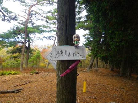 せっかくなので西床尾山の山頂のプレートと雪村あおいちゃんを撮影しておいた