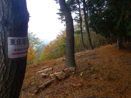 さて十分に休憩もしたので東床尾山へ向かう。東床尾山まで約６０分と書いてあるけど実際はどのくらいかかるんだろうか！？