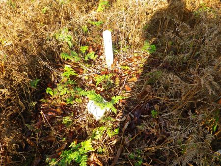 標高725.4mの三角点を発見。枯草の中にポツンとあったので一応撮影しておいた