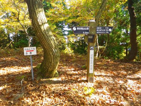 分岐まで登ってきた。東床尾山から先に登るのであればこっちのルートのほうが楽なのかな。とにかく0.5km先の東床尾山の山頂を目指すので左へ進む