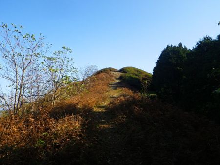 小屋から一旦下って登ると展望が良さそうなピークが見えた。今度こそこのピークが東床尾山の山頂だろう