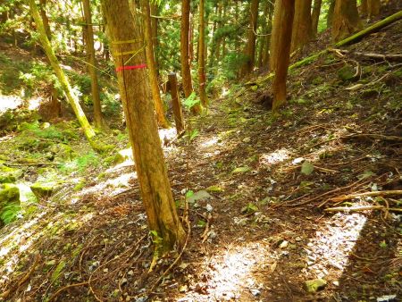 ここで近畿自然歩道と合流して沢筋の道になる
