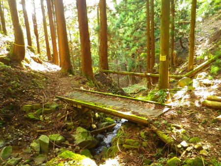 沢を渡るのに橋があったりした。西床尾山への登りの沢筋よりこっちのほうが整備されている