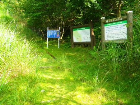 ここから入山する。熊出没注意が怖い感じがするけど、まあ、いてもおかしくないかな