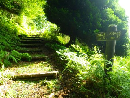 日名倉山山頂まで700m地点。途中にこういう道標と距離が記載されているのは有難い