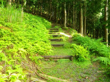 木の階段が続く。階段を登ってなだらかな道になり、また階段とつづら折れに続いていく