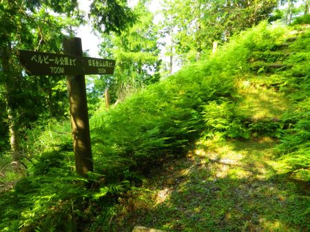 日名倉山山頂まであと350m地点