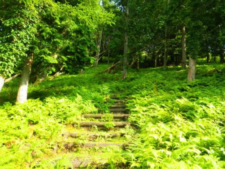 ここの階段がちょっとペースを乱されたかも。息切れはしなかったけど西日で暑かった