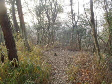 ピークがあるがここは山頂ではないようだ