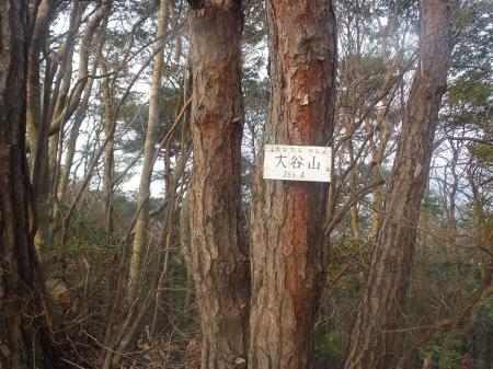 大谷山（266.4m）到着