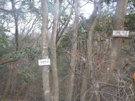 さっきの分岐に戻り南宗円山（209.6m）到着