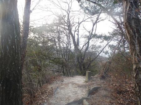 もう一つのピーク