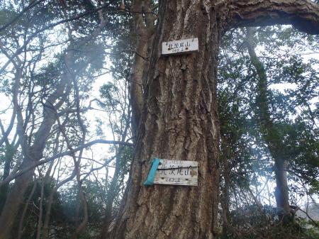 北山師岳よりちょっと中の山、吉本山方面へ寄り道して北茨尾山（247.2m）到着