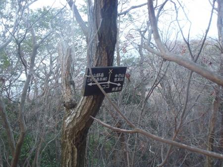 中の山、吉本山のほうを探してみたけどわからず