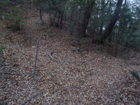 一旦谷へ下り星田山のピークへ登る